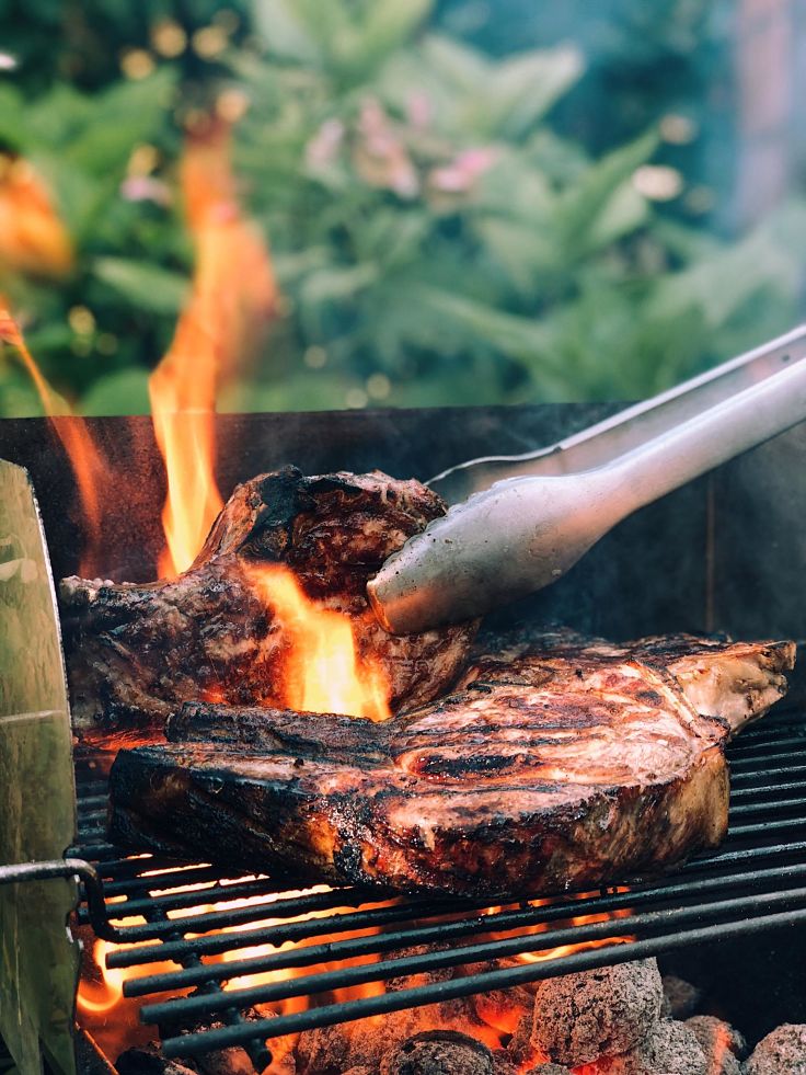 Learn to Master the Art of Grilling using this guide and great tips