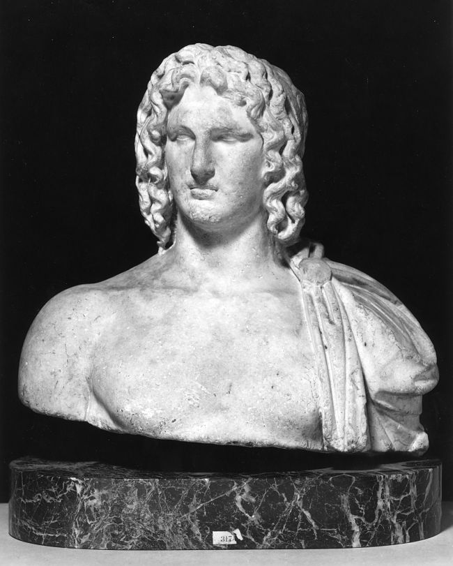Alexander the Great had Great Hair with plenty of volume. Discover the secrets to increase hair volume in this article