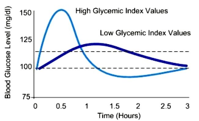 How foods with Low and High GI values affect blood glucose levels in the hours after consumption