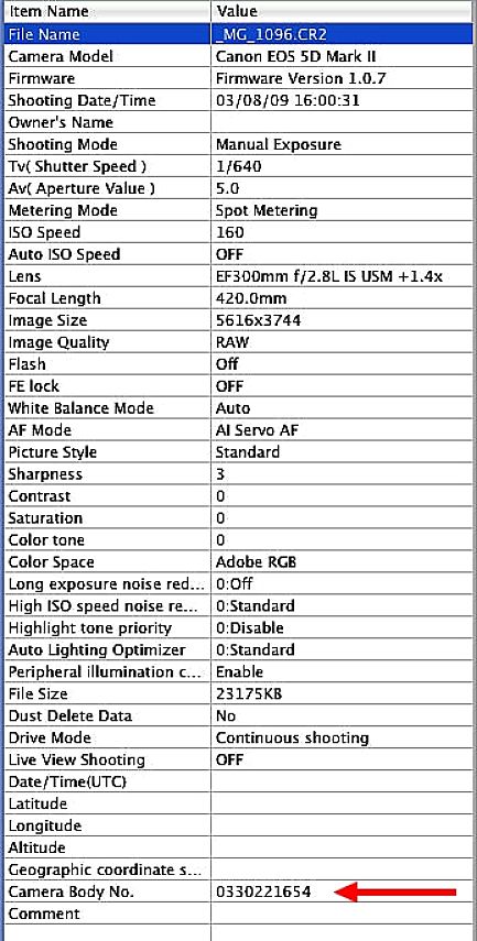 The body identification number is the key item for helping trace stolen cameras