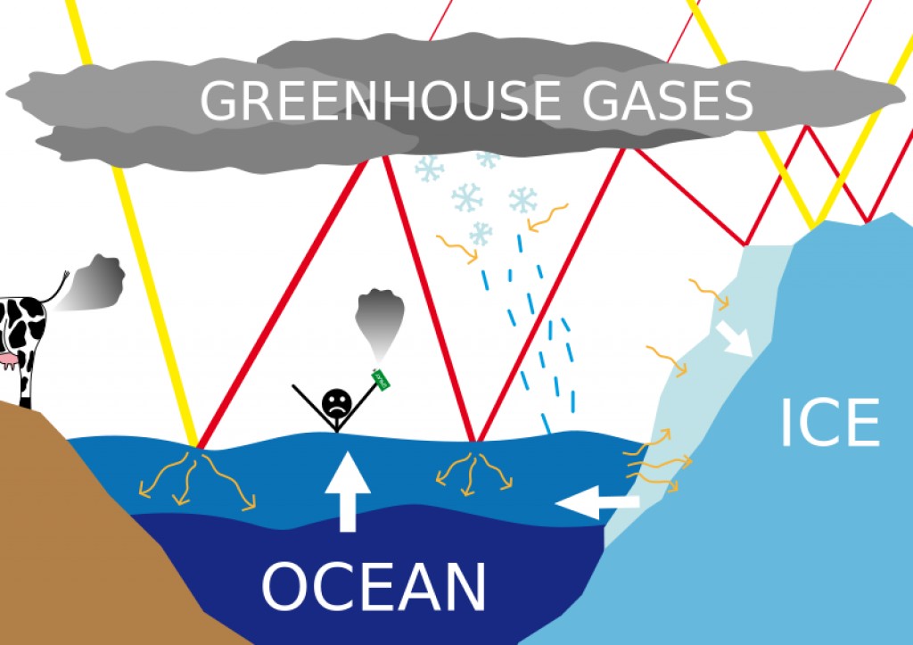 The driver of sea level change