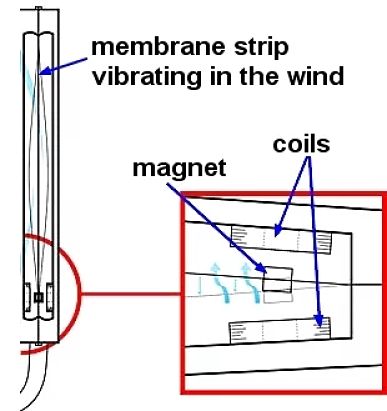 Wind Belt