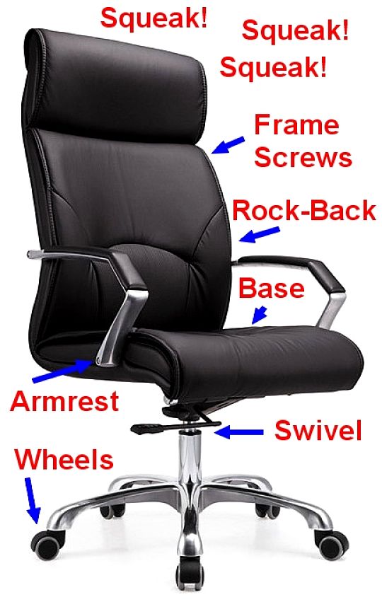 Common Squeak Locations