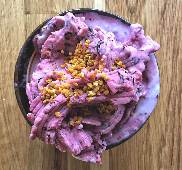 Vegan Ice Cream with fresh blueberries and Pecan Nut Sprinkles