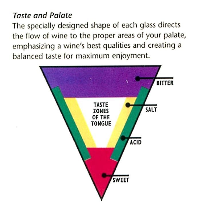 The myth of the tasting zones and how it relates to wine tasting and appreciation