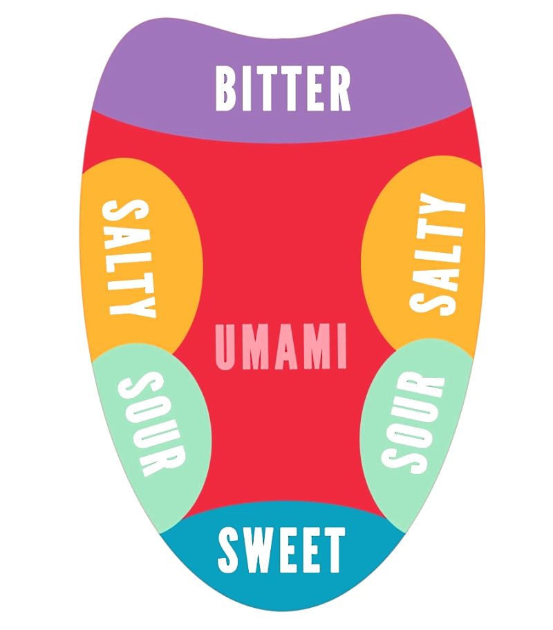 Although discredited the tongue taste area zone was a great concept which appeared to explain wine tasting processes in the mouth